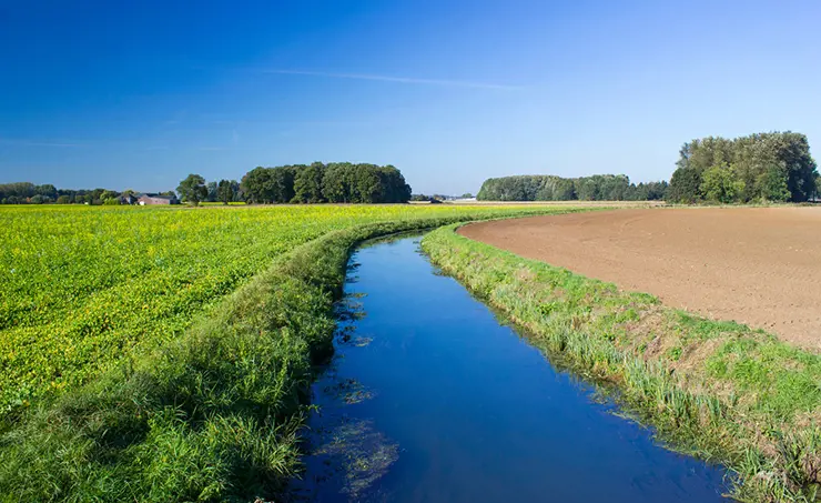 Critères de qualité du Centre Ecotox – nouvelles valeurs, nouvelles substances, nouvelle liste