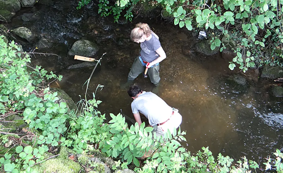 Evaluation grossière de la pollution des eaux au moyen de bioessais