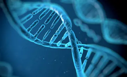 SYNAQUA – bio-surveillance des écosystemes aquatiques