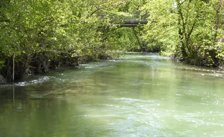 Détermination de périodes d'exposition adéquates pour le contrôle de la qualité des eaux