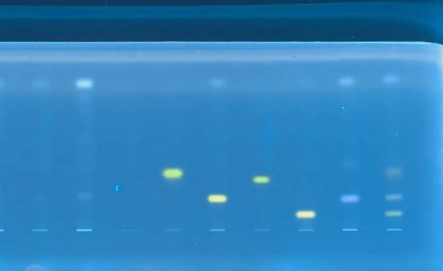 Nouveau projet combinant chromatographie sur couche mince et bioessais