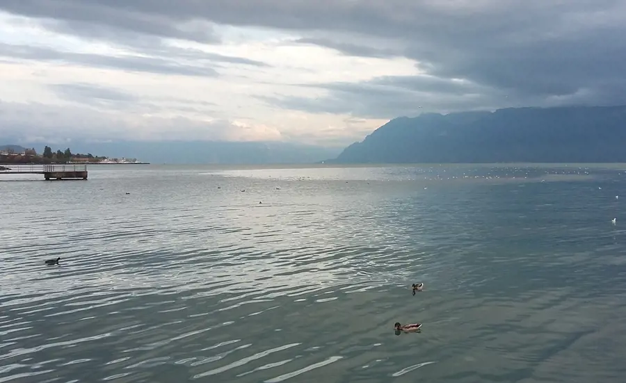 Responsabilité des déversoirs d'orage dans la pollution des sédiments du Léman ?