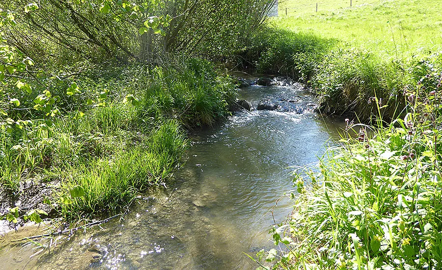 L'Eawag soutient l'introduction de critères de qualité environnementale basés sur les effets