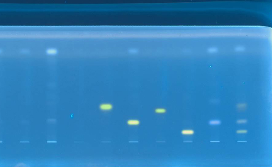 Combinaison de la chromatographie sur couche mince, des bioessais et de la spectrométrie de masse pour la détection des micropolluants dans les échantillons complexes