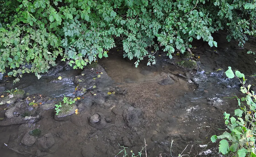 Différentes approches pour l'appréciation de la qualité de l'eau avec les bioessais