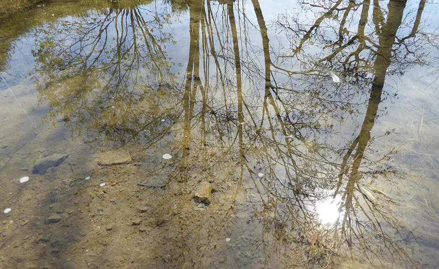 Les scientifiques identifient les problèmes les plus urgents posés par les produits chimiques dans l'environnement.