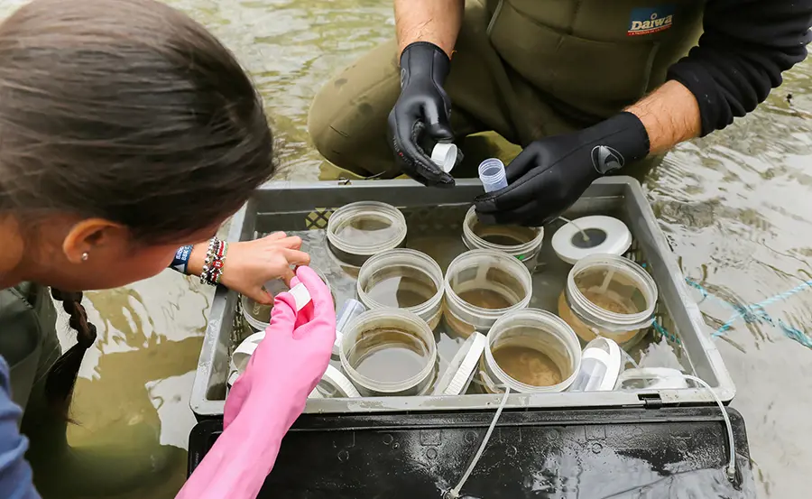 L'utilisation des bioessais pour le monitoring environnemental