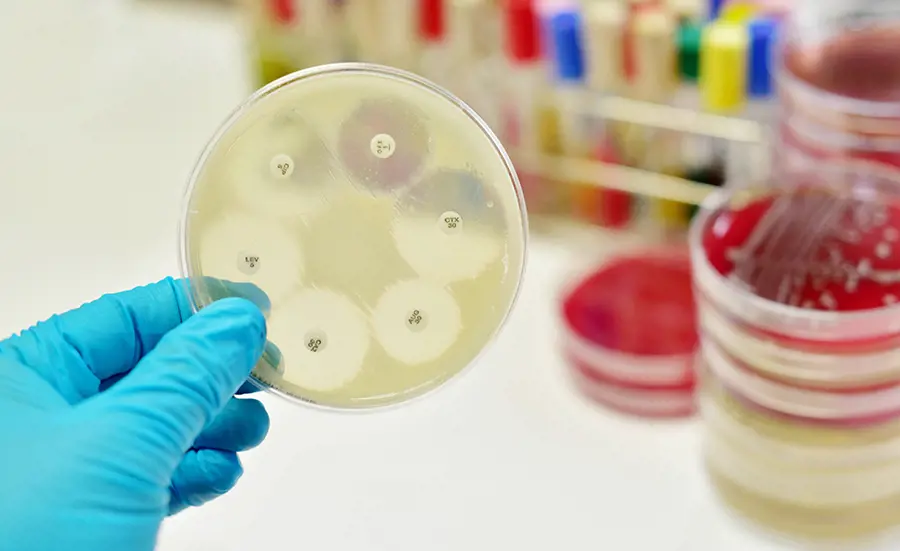 Critères de qualité environnementale : une protection contre la progression de l'antibiorésistance ?