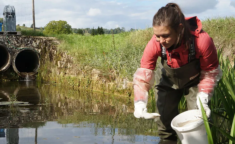 Effets écotoxicologiques dus aux produits phytosanitaires dans les sédiments des petits cours d'eau