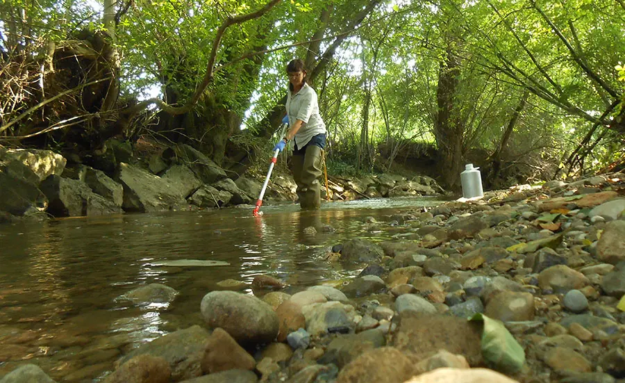 Peu d'œstrogènes dans les cours d'eau européens