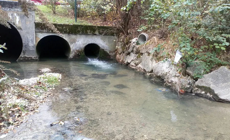 Communautés de microorganismes et d'invertébrés et contamination du sédiment dans les rivières