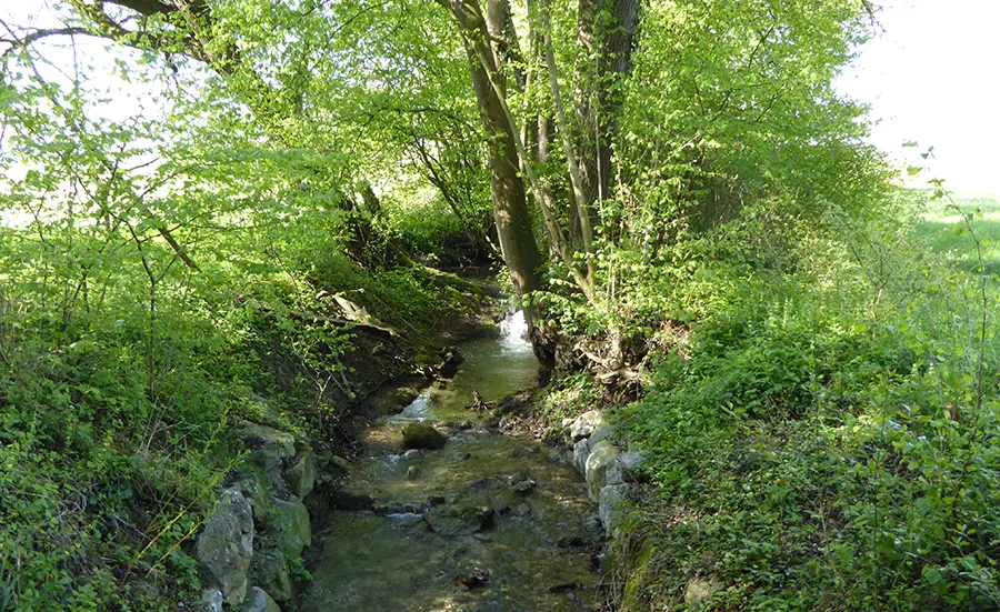 Moins de rejets de produits phytosanitaires dans les eaux thurgoviennes