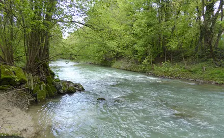 Dérivation de critères de qualité écotoxicologiques
