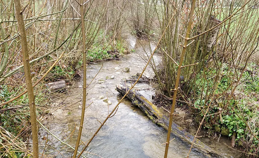 De nouveaux projets sur l'évaluation de la qualité des eaux