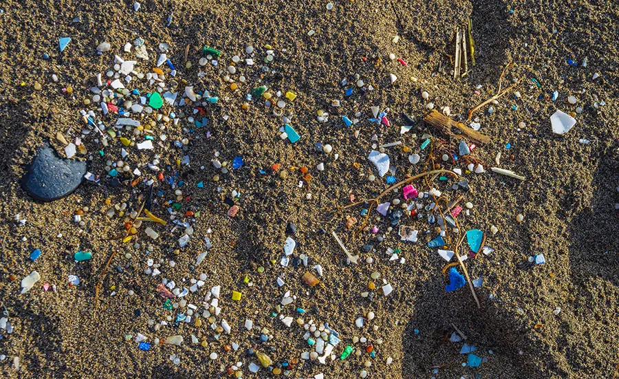 Les microplastiques dans l'environnement