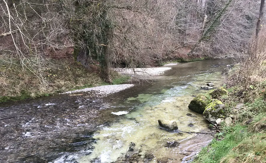 Évaluation des effets des effluents de stations d'épuration sur les cours d'eau à l'aide des communautés d'oligochètes 