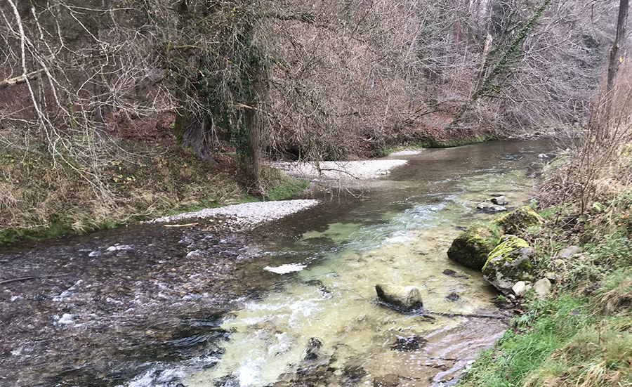 Évaluation des effets des effluents de stations d'épuration sur les cours d'eau à l'aide des communautés d'oligochètes