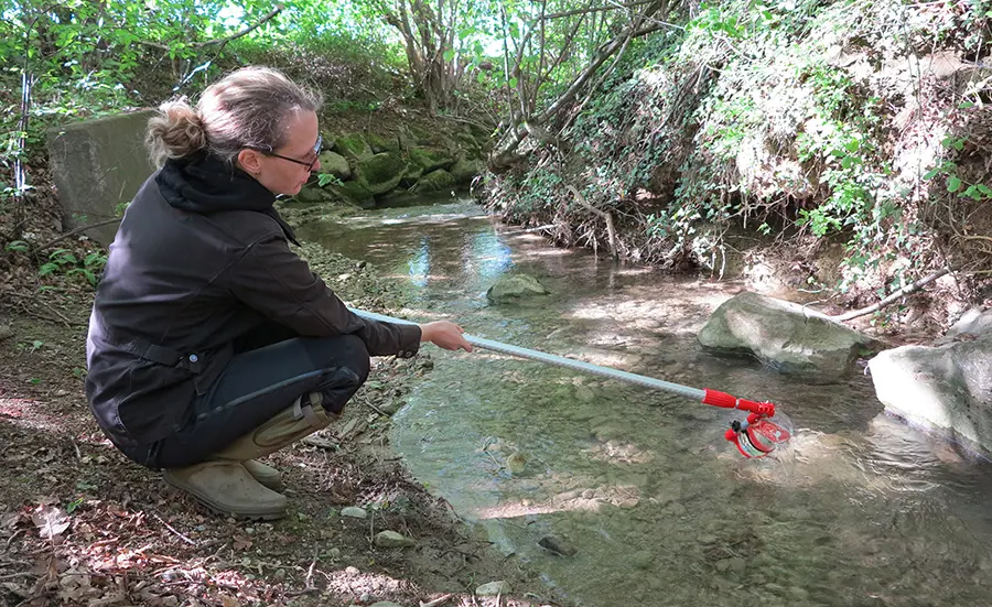 Développement d'une batterie de biotests pour évaluer la qualité de l'eau