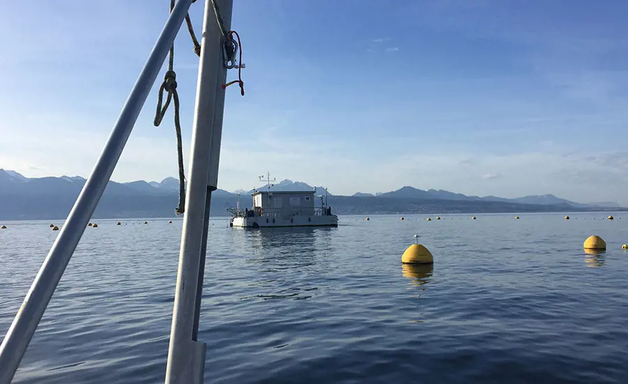 Des chironomes pour mesurer la qualité des matières en suspension dans le Léman