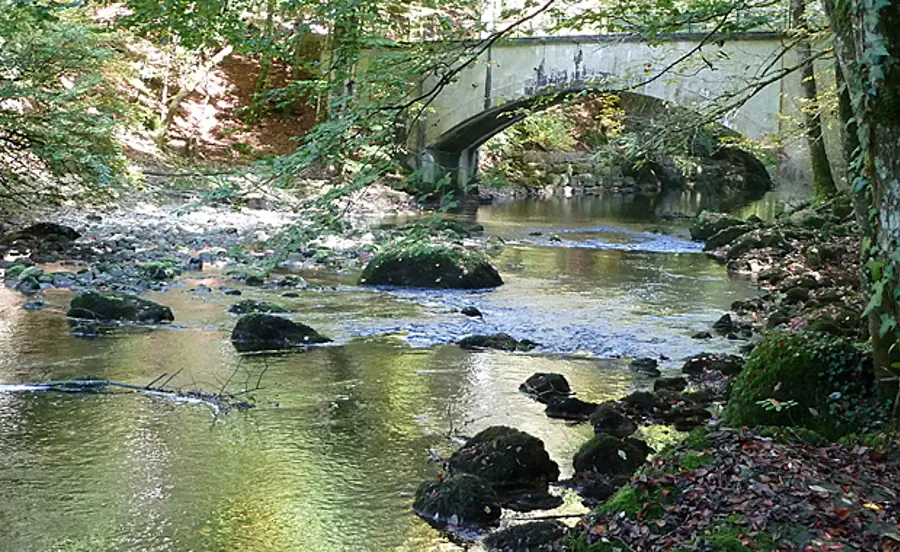 Une mellieure surveillance des œstrogènes stéroidales