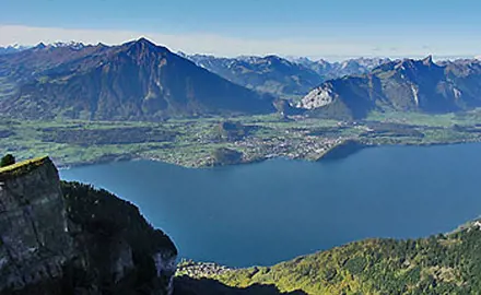 Etude du plancton du lac de Thoune