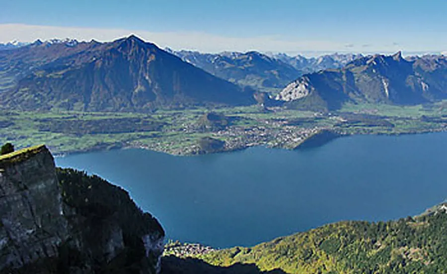 Etude du plancton du lac de Thoune