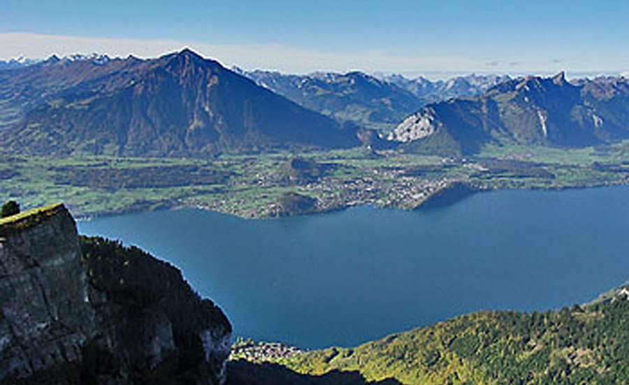Etude du plancton du lac de Thoune