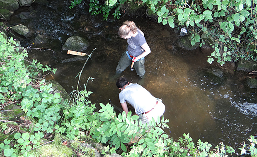 Evaluation grossière de la pollution des eaux au moyen de bioessais