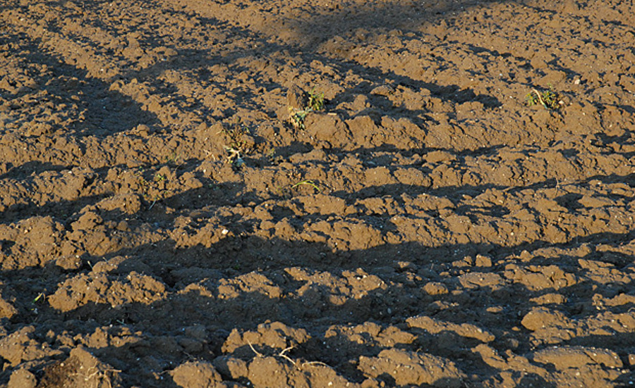 Année 2015, année internationale des sols
