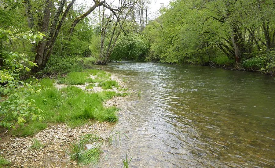 Analyse de la qualité des eaux et sédiments de la Suze