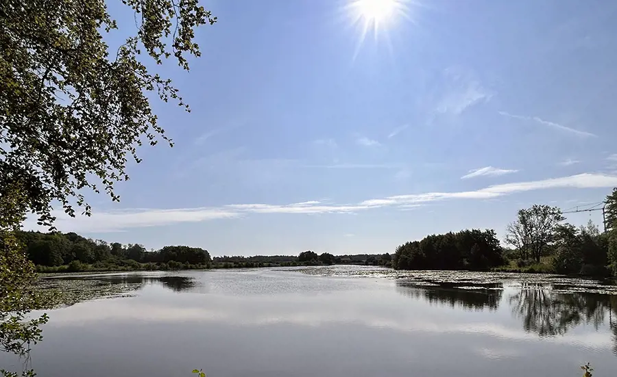 Même les biotopes d'importance nationale sont contaminés aux produits phytosanitaires