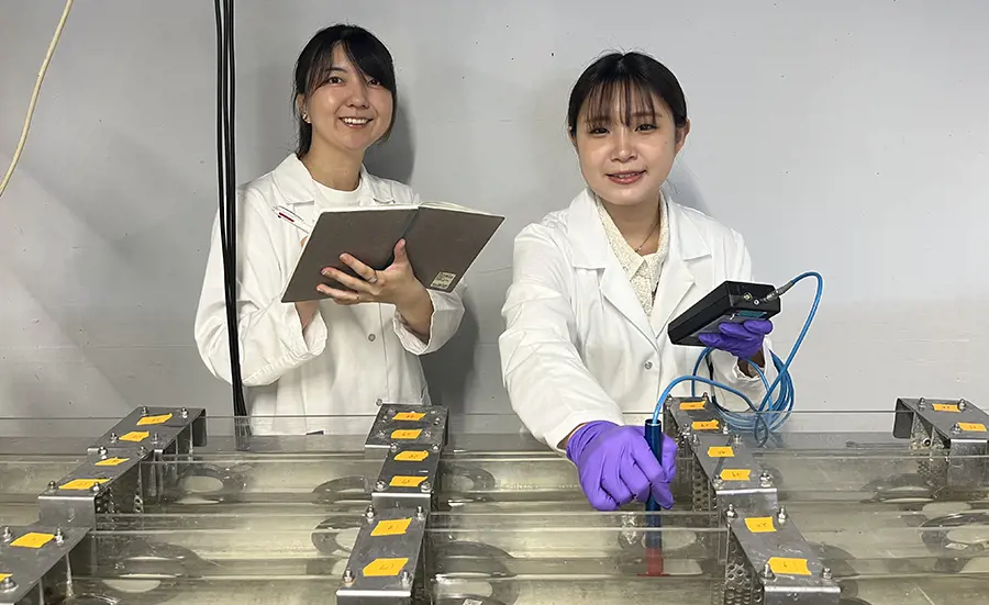 Des chercheuses japonaises au Centre Ecotox