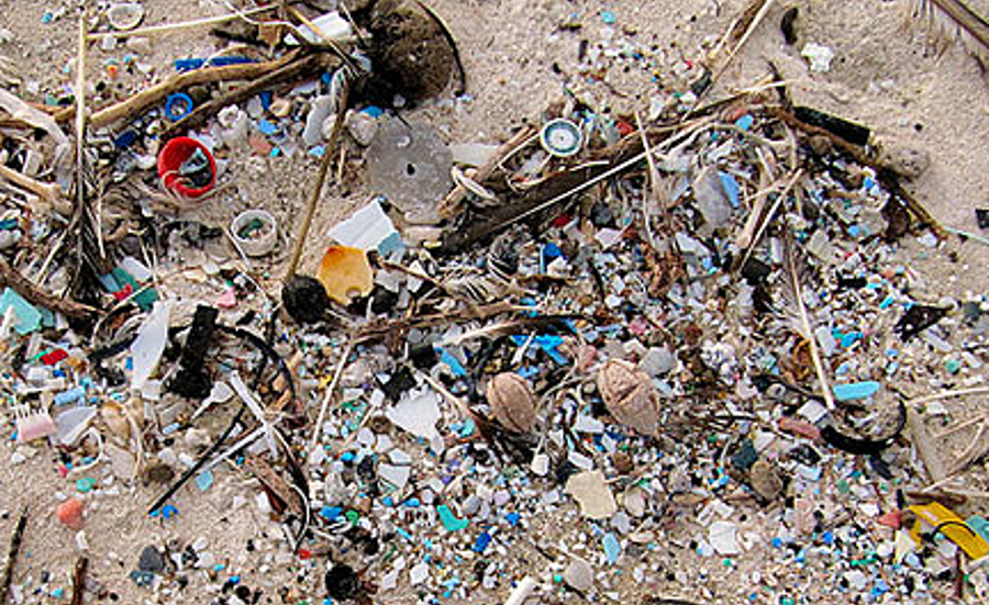 Fiche info sur les microplastiques dans l'environnement aquatique