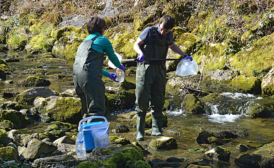 Utilisation de biomarqueurs chez la truite de rivière pour évaluer l'action des polluants chimiques dans le milieu aquatique