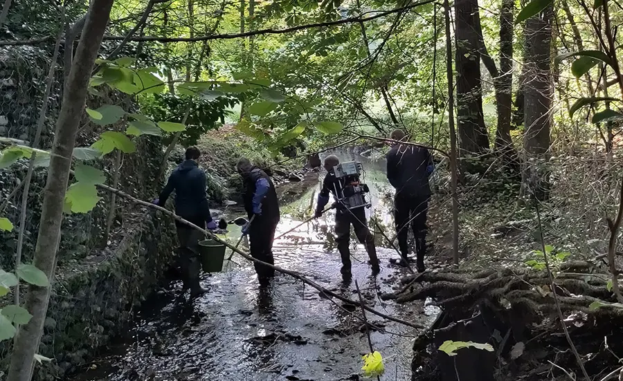 Disparition des truites dans le ruisseau des Marais : un travail de détective pour identifier les causes grâce à l’écotoxicologie
