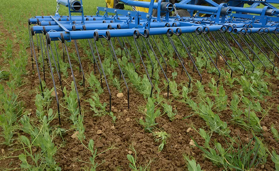 Réduire l'utilisation des pesticides grâce à de nouvelles pratiques culturales