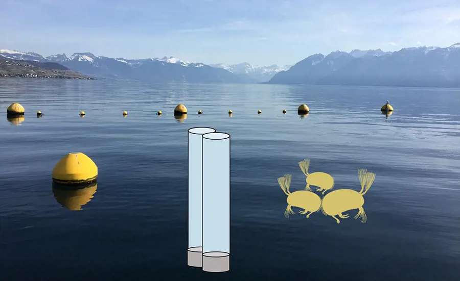 Des vecteurs dynamiques de pollution : qualité des matières en suspension du Léman