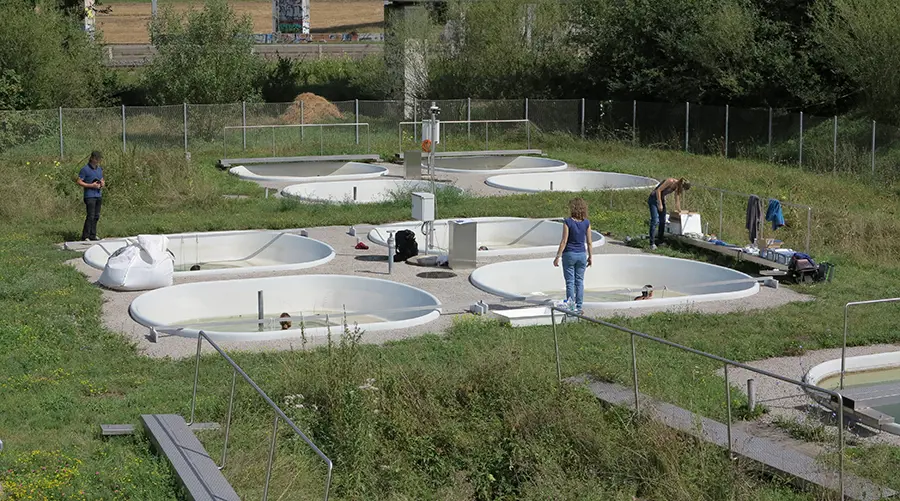 Crèmes solaires et lacs de baignade : que deviennent les filtres UV dans les lacs suisses et les étangs expérimentaux ?