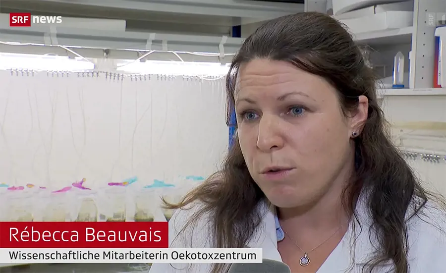 Centre Ecotox dans SRF Schweiz aktuell sur la contamination des sédiments
