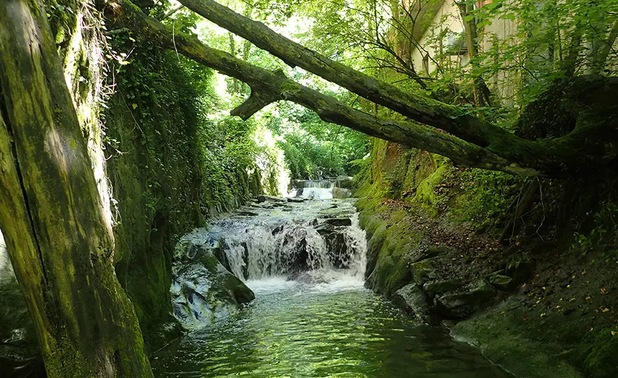 Évaluation de la qualité de l'eau de la Vuachère à Lausanne