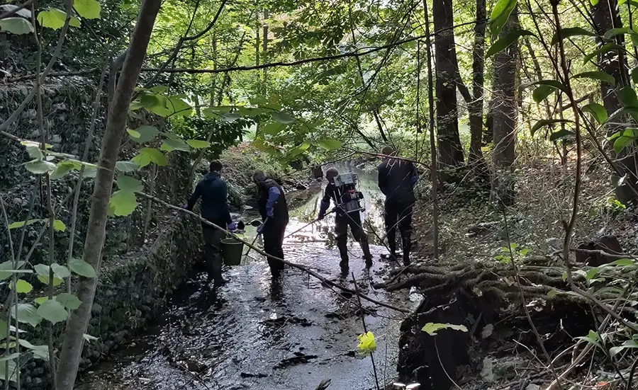 Évaluation de la qualité de l'eau du Ruisseau des Marais 