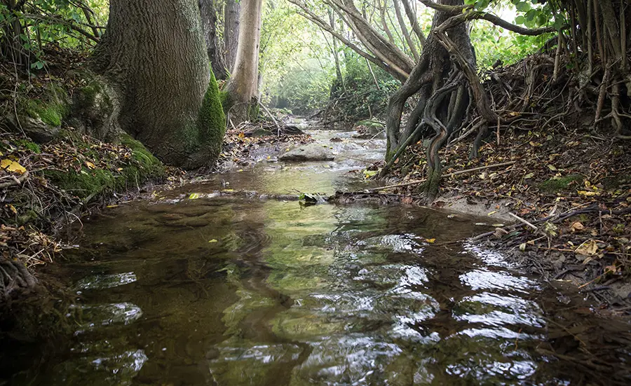 Rejets de pesticides dans les cours d’eau suisses