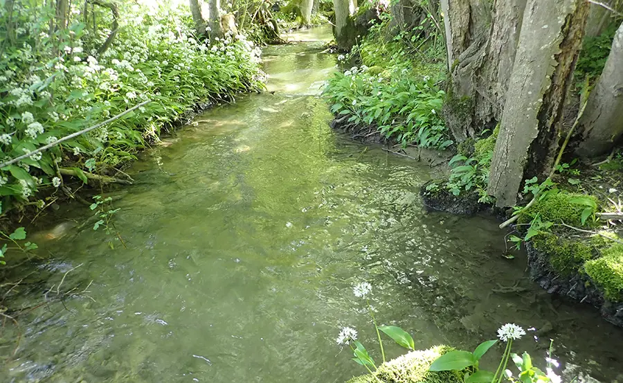Rejets de pesticides dans les cours d’eau suisses