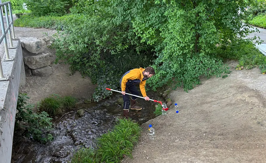 Analyse écotoxicologique des cours d'eau proches des routes de la ville de Zurich