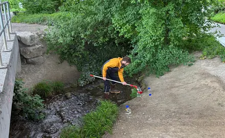 Analyse écotoxicologique des cours d'eau proches des routes de la ville de Zurich