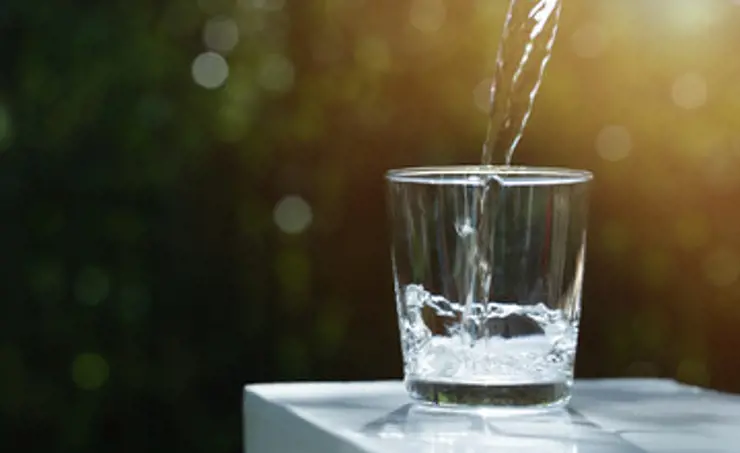 Webinar : Utilisation des biotests dans le domaine de l'eau potable le 24.2.2026, 14.30-16.00