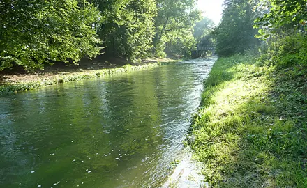 Écotoxicologie aquatique
