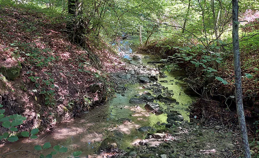 Surveillance de la qualité de l'eau de la Chamberonne