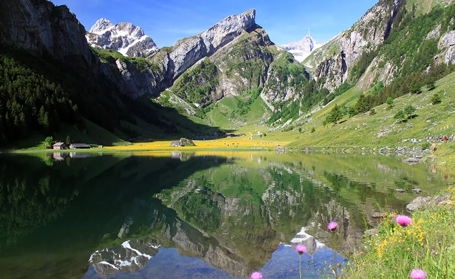 Qualité des sédiments du lac Seealpsee : présence de microplastiques et de produits chimiques associés aux pneus