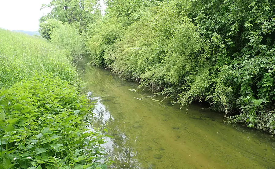 Détermination des critères de qualité écotoxicologiques pour les eaux de surface